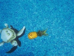 5 бассейнов с морской водой в Москве