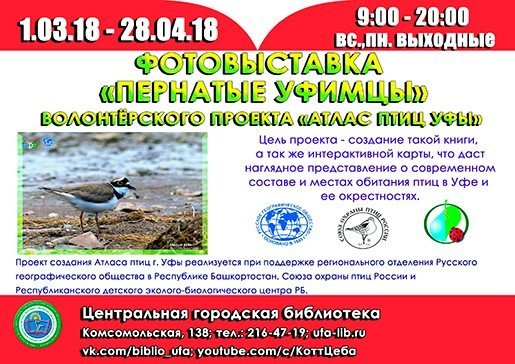 Пернатые уфимцы, выставка