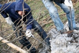 Сезон субботников открыт