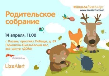 ШколаЛизаАлерт