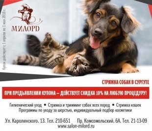Где в Сургуте заказать стрижку и гигиенический уход для любимца/ КУПОН НА СКИДКУ