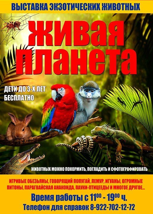 Живая планета, выставка экзотических животных
