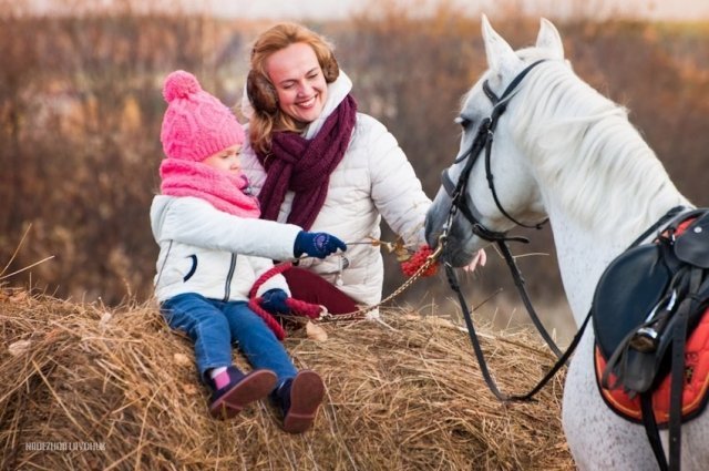 В гостях у тети Лошади