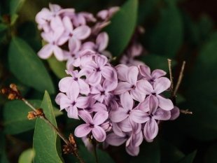 Куда сходить в майские праздники: шесть лучших событий