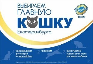 На Радиоле 106,2 FM завершилась акция «Главная кошка Екатеринбурга»!