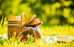 5 мест для незабываемого пикника