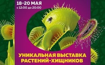 Выставка хищных растений