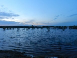 Борцы за чистоту в Сургуте возьмутся за дело: в городе пройдет акция "Чистый берег" 2018