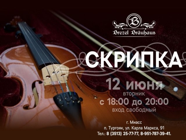 Вечер живой музыки / Скрипка