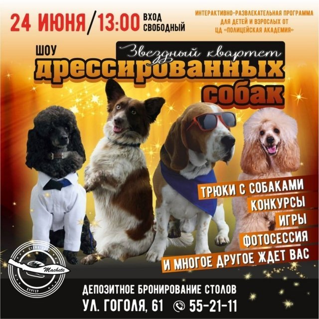 дрессированные собака