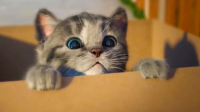 Котёнок, который учился говорить «мяу»