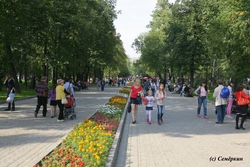 Чемпионат детства