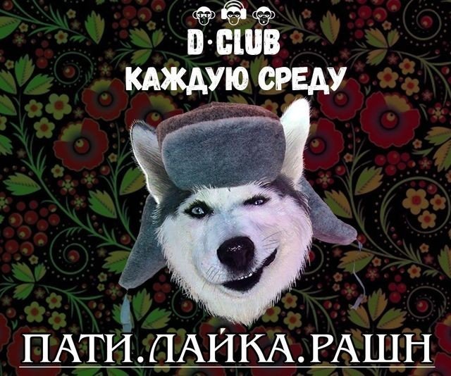 Пати. Лайка. Рашн