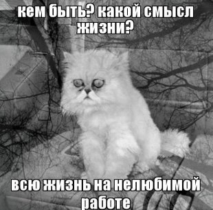 Не знаете, в чём смысл жизни?