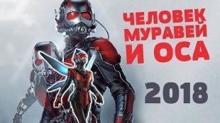 Фотоконкурс «Человек муравей и Оса»