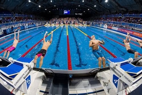Кубок мира FINA по плаванию 2018