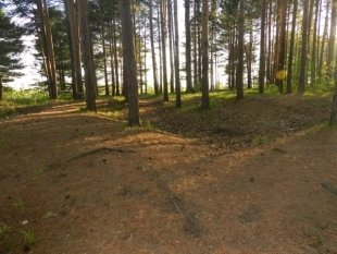 Парк "Кедровый лог" в Сургуте будет отреставрирован