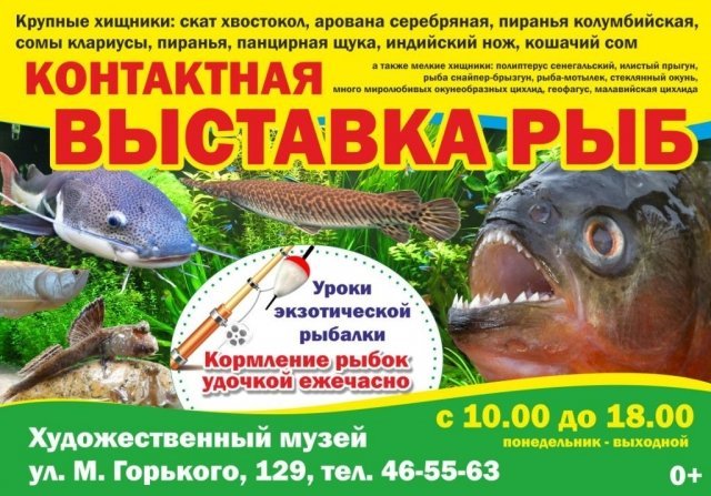 Контактная выставка рыб