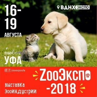 В Выставочном комплексе ВДНХ ЭКСПО УФА будет проходить Международная специализированная Выставка ЗооИндустрии ZOOЭКСПО-2018
