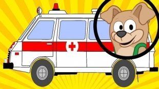 В Челнах работает передвижной пункт ветеринарной помощи