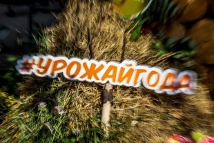 Померились тыквами: в Сургуте прошел ежегодный фестиваль "Урожай года" 2018/ ФОТОГАЛЕРЕЯ