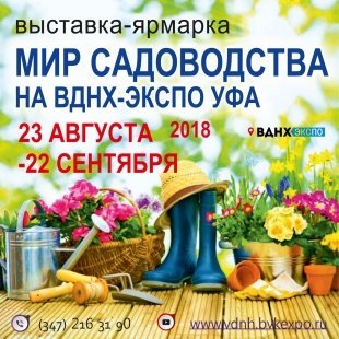 ВДНХ ЭКСПО УФА приглашает уфимцев на сентябрьские выставки