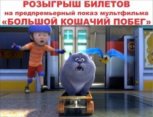 Мультфильм «Большой кошачий побег»