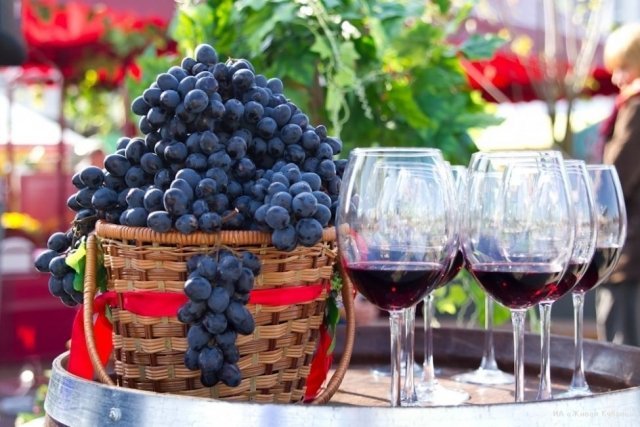 6 праздников вина в мире, на которых стоит побывать
