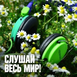 Проснись и пой: меломаны Удмуртии проводят с песнями треть дня