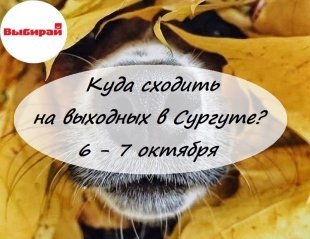 Куда сходить на выходных в Сургуте: 6 - 7 октября