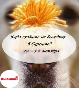 Куда сходить на выходных в Сургуте: 20 и 21 октября