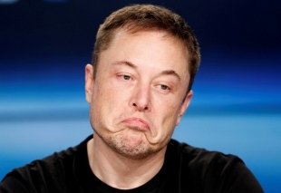 Илон Маск попросил пользователей в Twitter накидать ему мемов. За день ему прислали около 50 000!