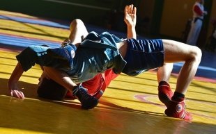 В «Тарелке» пройдут соревнования по самбо