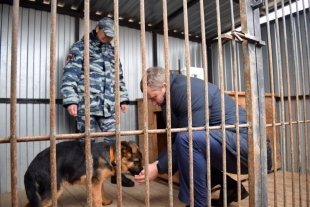 Глава Астраханской области покормил немецкую овчарку