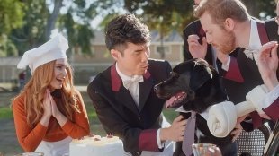 Все ненавидят ролик с итогами года YouTube Rewind 2018. Объясняем, почему