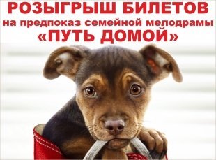 Фильм «Путь домой»