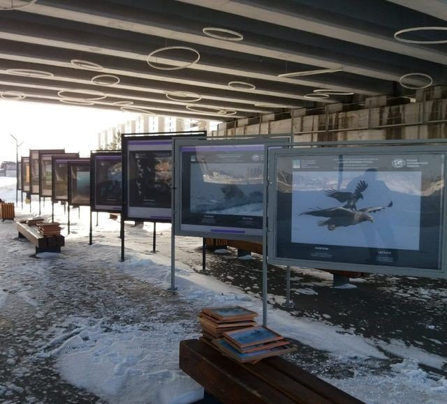 На набережной Тукая открылась фотовыставка "Самая красивая страна"