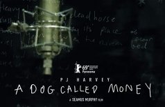 Пи Джей Харви: A Dog Called Money
