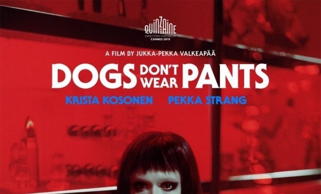 Собаки не носят штанов