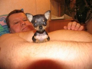 Лобзик Лобзик