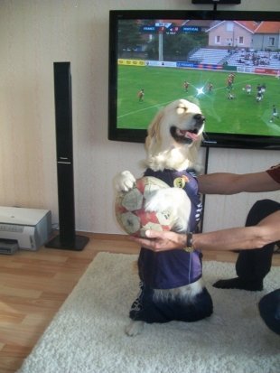 Нэнси Нэнси