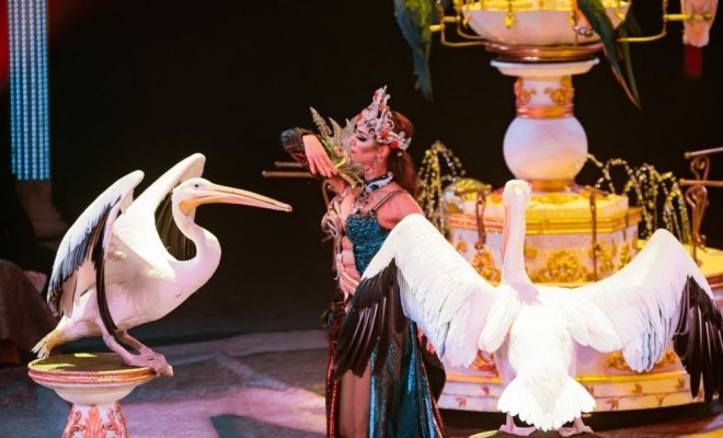 Королевский цирк