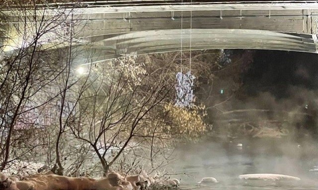 Мосты Екатеринбурга оживили арт-объектами Ромы Бантика