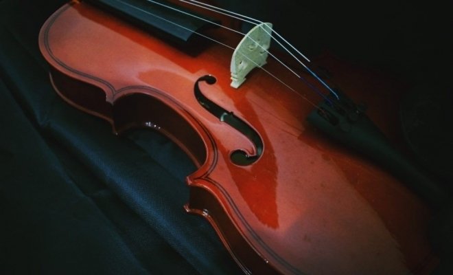 Зимняя бабочка