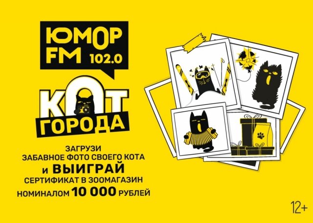 Кота города выберут на одной из радиостанций Екатеринбурга.
