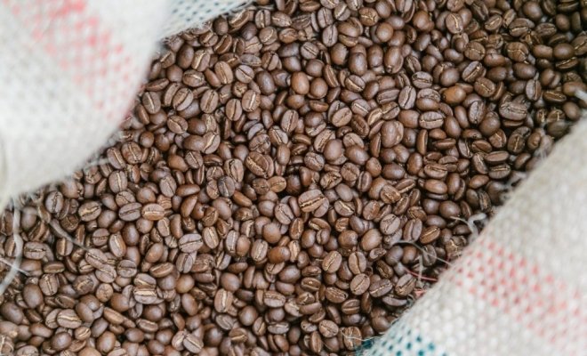 Экскурсия, лекция и каппинг на производстве BunaCoffee