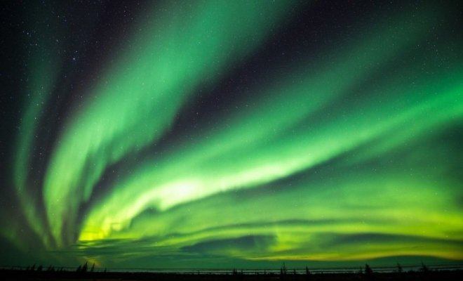 Приключения Хрумки в зимнем лесу