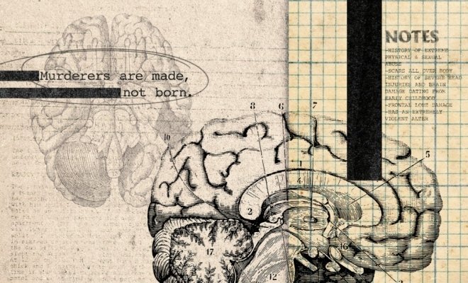 Безумен, но не болен