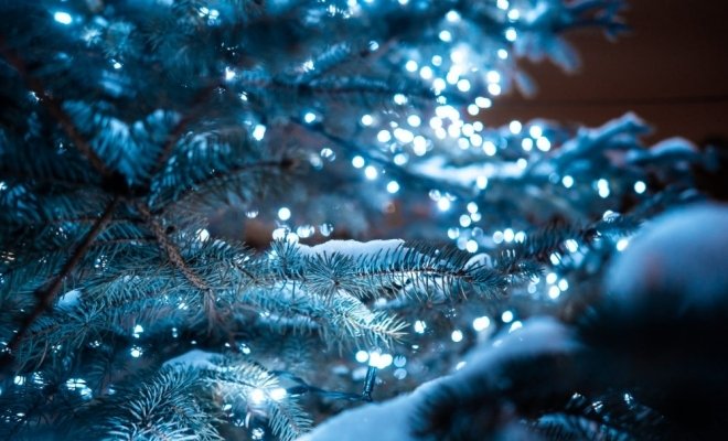 Снежная королева на льду