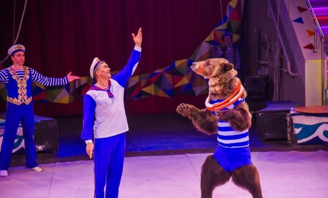 Тайна пирата